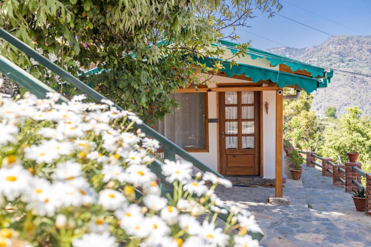 Seclude Ramgarh Willows المظهر الخارجي الصورة